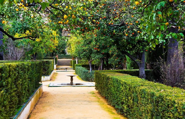 Campanella s Studios - Comfort in the Nature - Foto 5