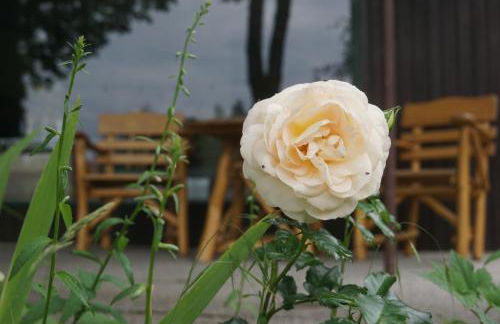 Flämingpanorama - Ländliches Gartenhaus mit Kamin und Naturpanorama - Photo 39