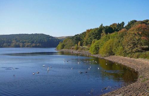 Apple Cottage: 19th Century Charm in Calder Valley - Foto 37