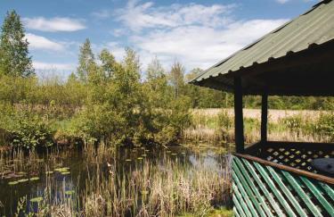 Chatka w lesie - Foto 34