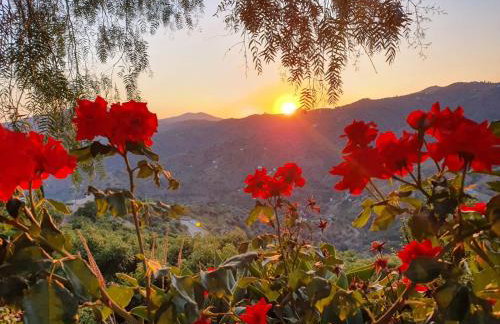 Cortijo La Rijana - Photo 3