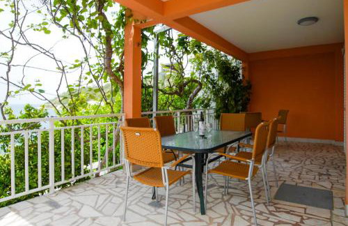 Lemon tree - Foto 48