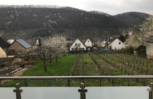 Ferienwohnung '' Wein unter Palmen '' - Foto 22