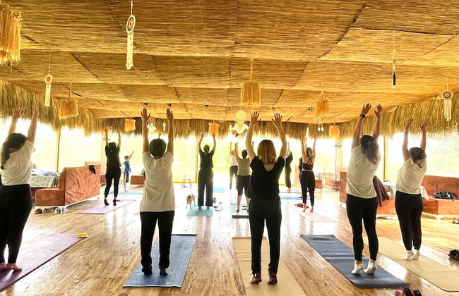 Lepista Garden - Foto 6