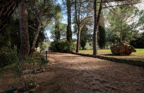 Tenuta Aronne - Foto 43