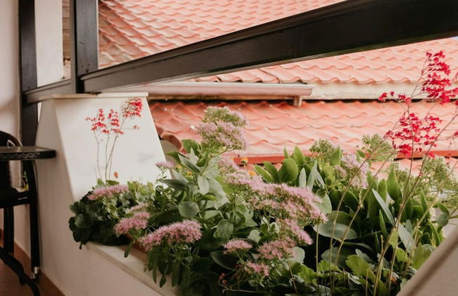 Obrava Guesthouse Kotroni Trikalon - Photo 24