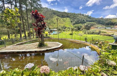 Sítio Exclusivo com Área Gourmet, Piscina e Natureza - Foto 19