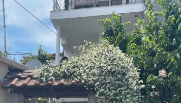 HOME OF OLYMPOS - Foto 2