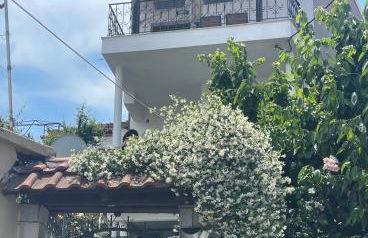 HOME OF OLYMPOS - Foto 2