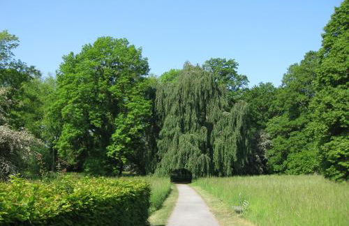 Altstadtapartment - Foto 32