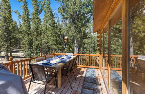 Relaxing Alpine Oasis - Minutes from Breckenridge - Foto 34