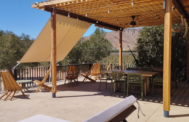 Alma Liebre Viñedos del Valle - Foto 56