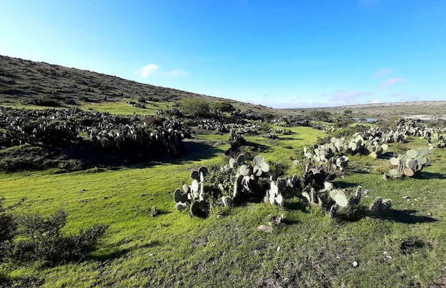 Escursionismo sul Sendero del Capitán - Foto 7