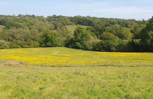 Elm Cottage - Foto 10