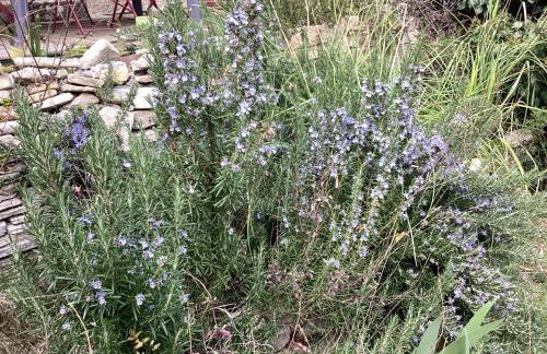 196 rue des moulins - Foto 54