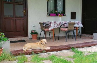 Country Guest House - Foto 13