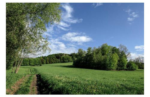 Kozy i Róże - Foto 29