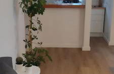 Apartamentos Can Salas - Foto 74