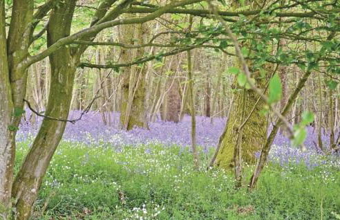 Cozy Apartment In Alette With Wifi - Foto 26