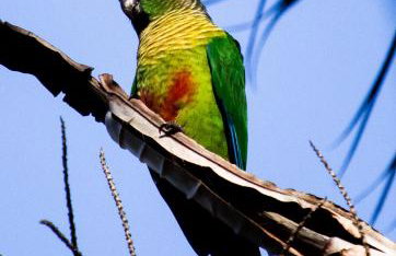 Casa do Carlos, praia da Enseada Ubatuba-SP - Foto 27