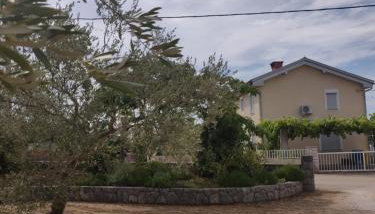 Apartment Nenadic - Photo 2, Garden