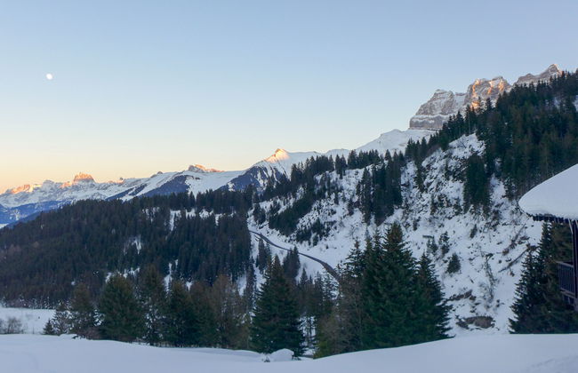 Le Cyclamen - Foto 38