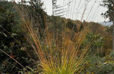 Panorama-Auszeit in Trierweiler - Foto 29