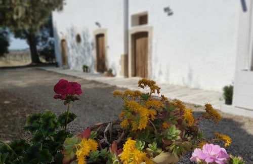 Agriturismo Masseria Mascitelli - Foto 31