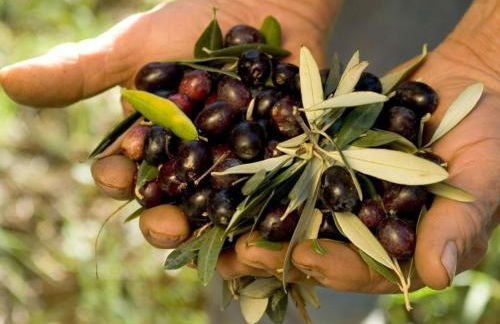 Apartment Anwesen mit Gemeinschaftspool by Interhome - Foto 44