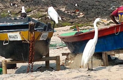 Apartment with living room and 2 bedrooms - Foto 49