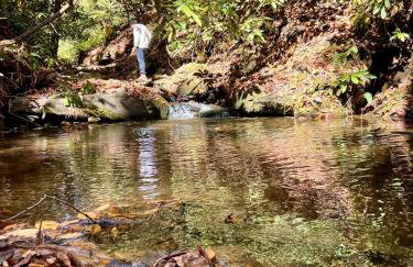 Creekside Guest House Mountains & Relax to the soothing sound of the creek - Foto 8