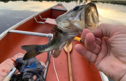 Half Moon Lake property - Foto 30