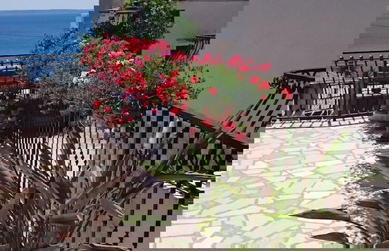 Apartman Ivan - Photo 21