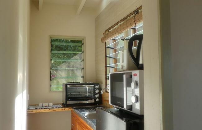 Fiji Lodge Vosa Ni Ua - Photo 15