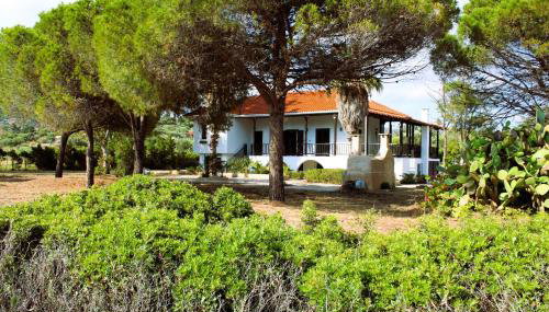 The Sisters Beach House - Foto 4, Garden