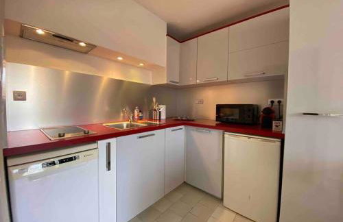 Studio 4pers climatisé accès direct plage - Foto 7