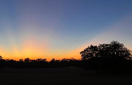 The Shophouse at Transplant Acres - Foto 34