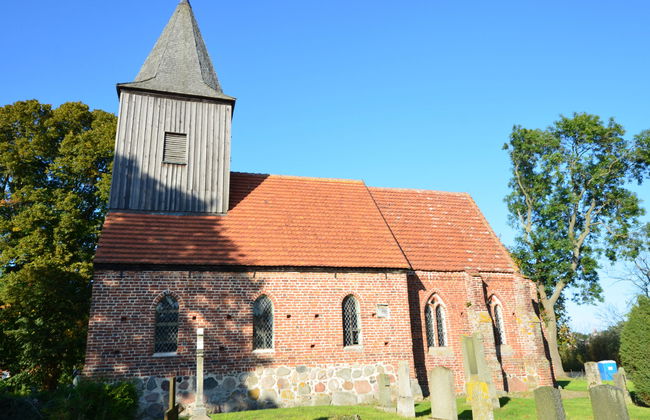 Strandflieder - Foto 27