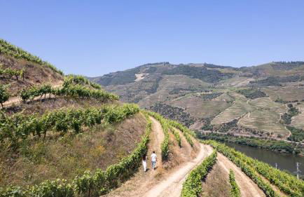 Quinta da Coitada - Alojamento Local - Photo 57