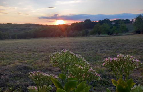 Le Logis de Quer'Breizh - Foto 14