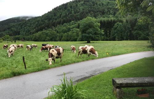 Gîte de la Mésange - Foto 61