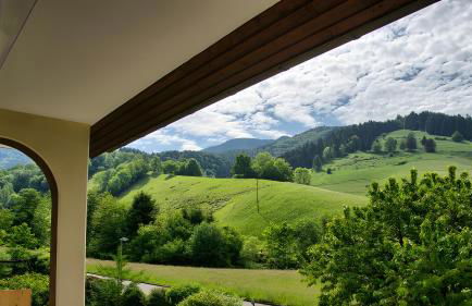 Haus Belchenherz - Münstertal - Foto 40