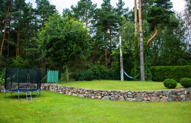 Jędrzejki - Foto 17