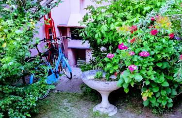 sole mare versilia - Foto 15