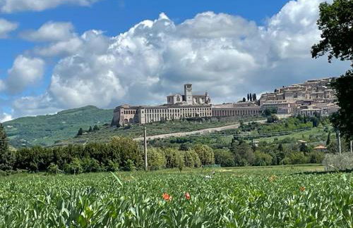 Il Fienile di Assisi - Photo 126
