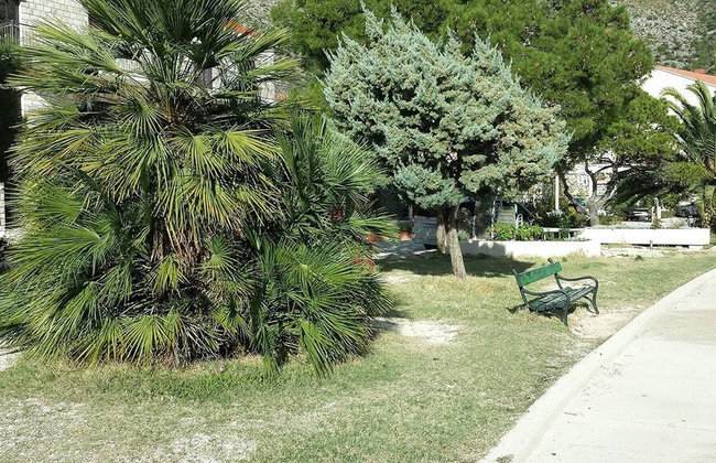 Maar Superior, Mali Zaton bay next to Dubrovnik, beautiul location & view - Photo 51