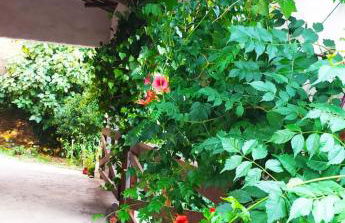 Casa de Campo - Casa da Ribeira - Foto 14