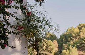 Hacienda Clavero Four Garden Apartment - Photo 26