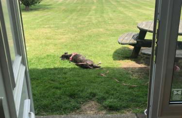 The Beach Huts - Camber Sands - Foto 52