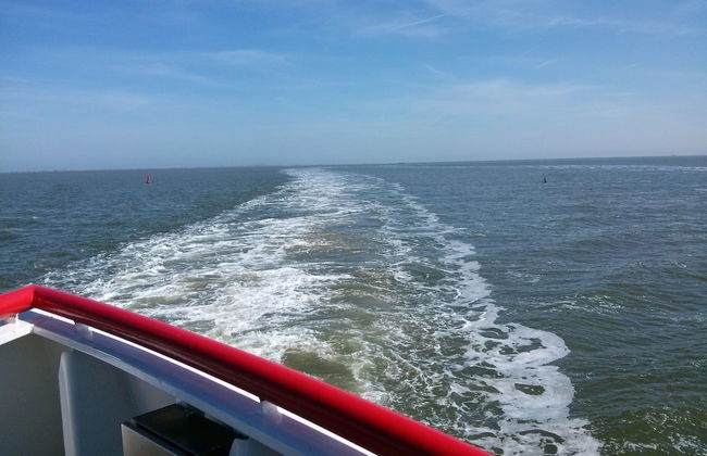 Apartment in Hollum Near the Sea - Foto 36